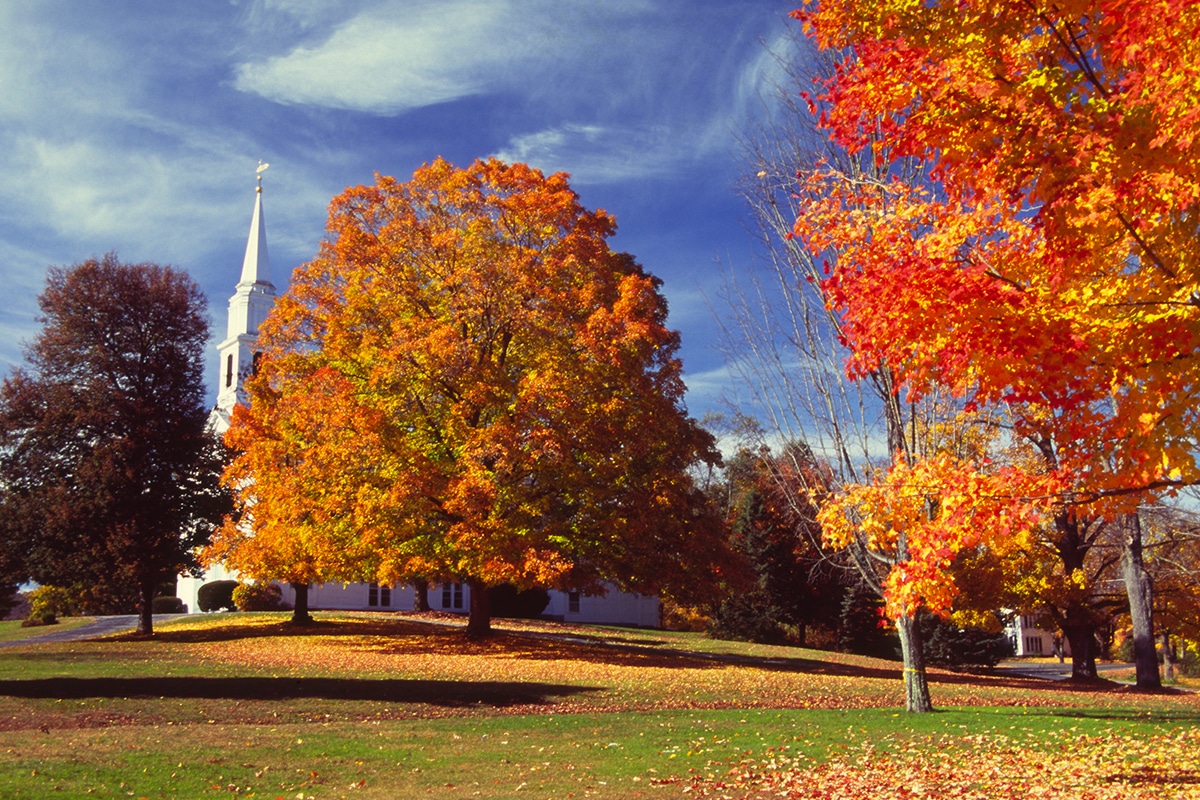 Gentle and precise root canal treatment for longmeadow patients blog