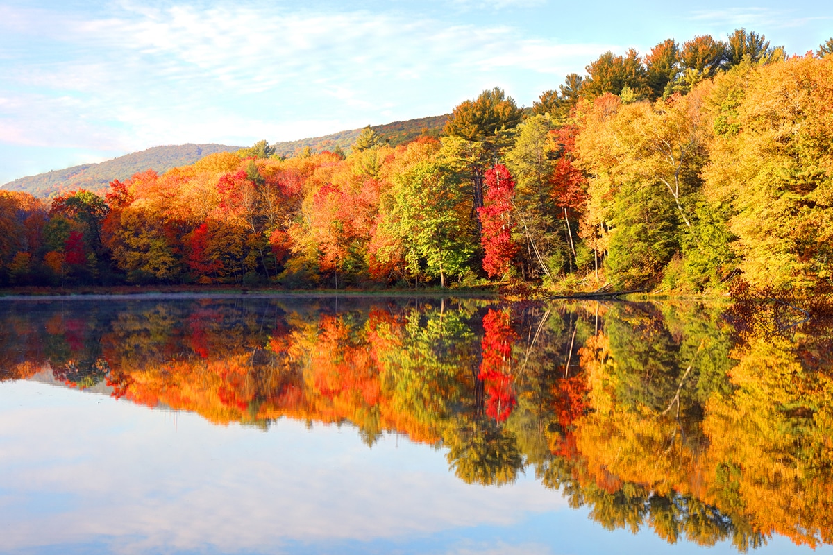 Root canal services near you specialized endodontic care in holyoke blog